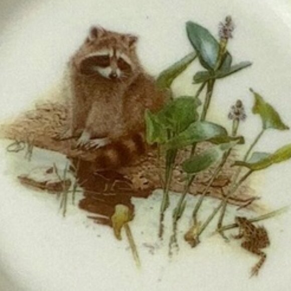 Vintage Glen Loates Collection‎ Raccoon Collectible Small Round Plate by Viletta - Picture 4 of 5